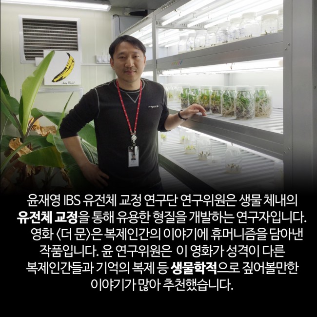 IBS 제공